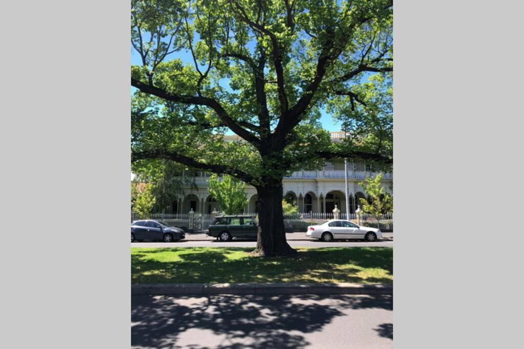Ferienwohnung East Melbourne City Studio - Amazing Location & Sunny Charm Exterior foto